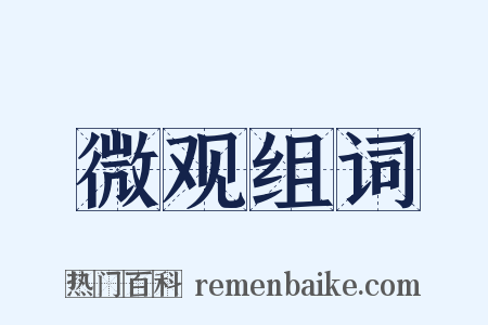 微观组词是什么意思的图片